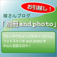 写真スタジオ大阪吹田市豊中市別冊andphoto